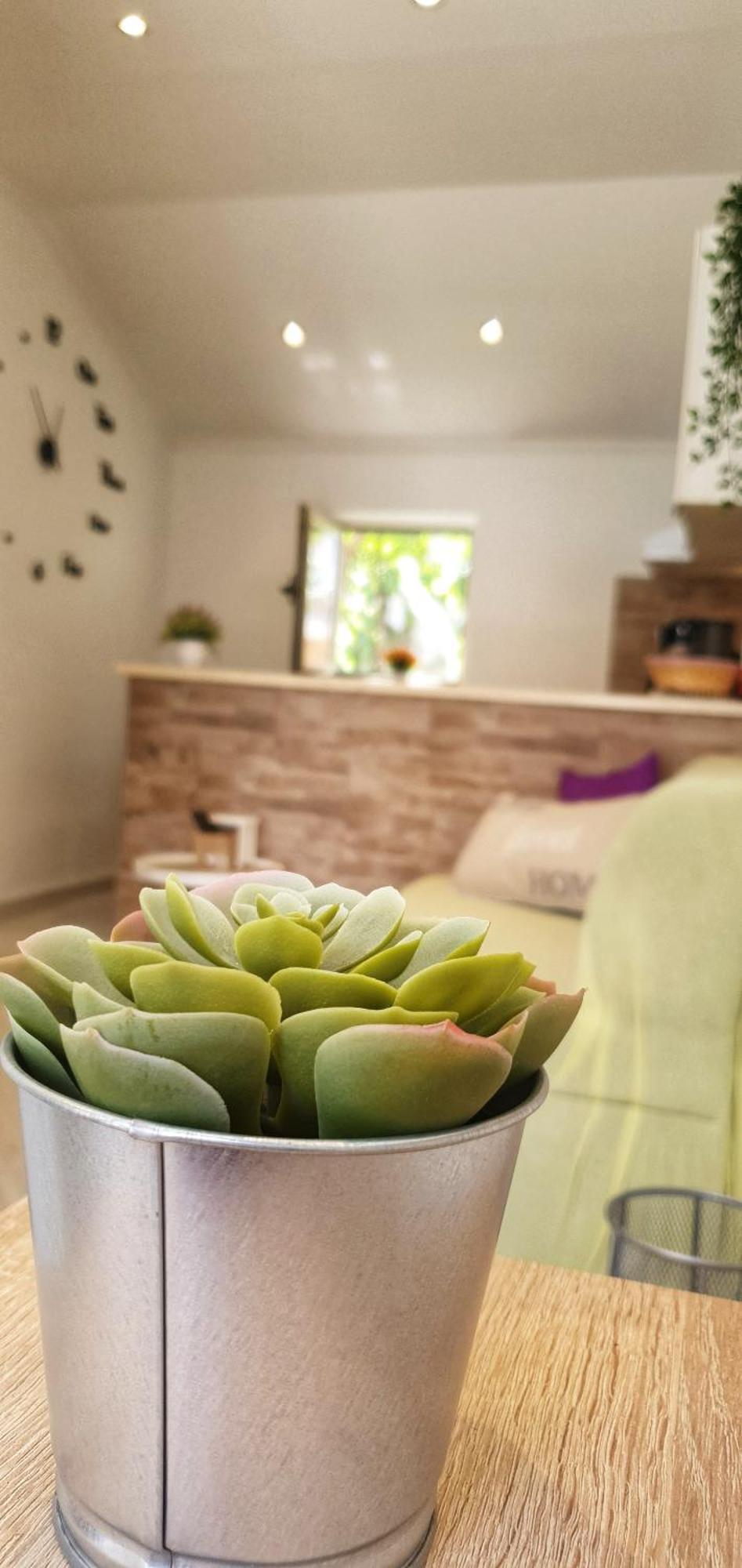 Apartments Marija Vukas Ντουμπρόβνικ Δωμάτιο φωτογραφία